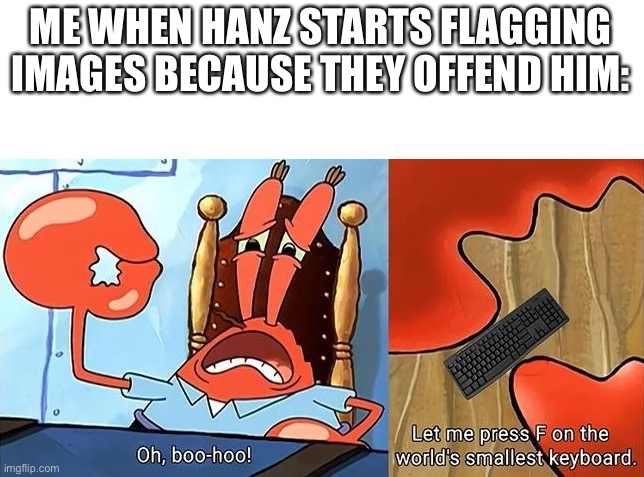 This is MSmg, not anti furry society. Now grow some balls and get out of here | ME WHEN HANZ STARTS FLAGGING IMAGES BECAUSE THEY OFFEND HIM: | made w/ Imgflip meme maker