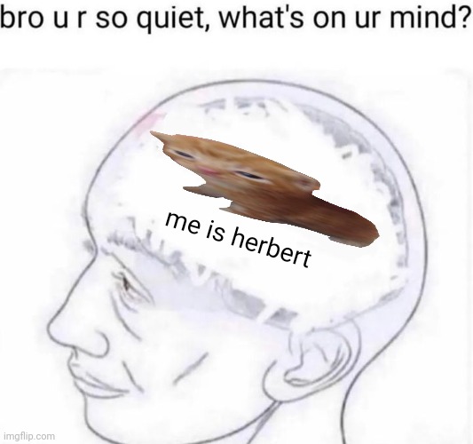 Bro you're so quiet | me is herbert | image tagged in bro you're so quiet | made w/ Imgflip meme maker