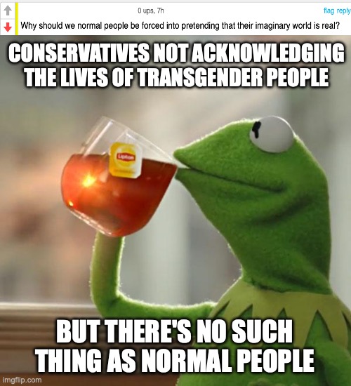 And I'm willing to bet that conservatives previously said that whites were the "only normal" people | CONSERVATIVES NOT ACKNOWLEDGING THE LIVES OF TRANSGENDER PEOPLE; BUT THERE'S NO SUCH THING AS NORMAL PEOPLE | image tagged in but that's none of my business,kermit the frog,lgbtq,conservative logic,transgender | made w/ Imgflip meme maker