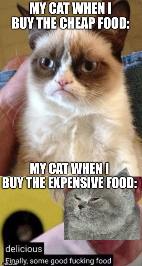 Cat food | MY CAT WHEN I BUY THE CHEAP FOOD:; MY CAT WHEN I BUY THE EXPENSIVE FOOD: | image tagged in memes,grumpy cat,finally some good food,cheap,expensive | made w/ Imgflip meme maker