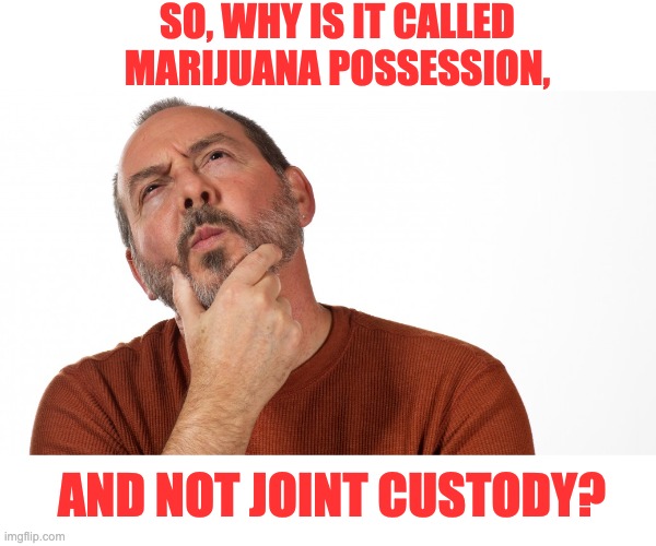 Hmm | SO, WHY IS IT CALLED MARIJUANA POSSESSION, AND NOT JOINT CUSTODY? | image tagged in hmmm,dad joke | made w/ Imgflip meme maker