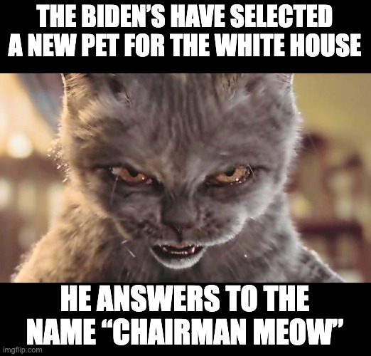 Biden/China | THE BIDEN’S HAVE SELECTED A NEW PET FOR THE WHITE HOUSE; HE ANSWERS TO THE NAME “CHAIRMAN MEOW” | image tagged in evil cat | made w/ Imgflip meme maker