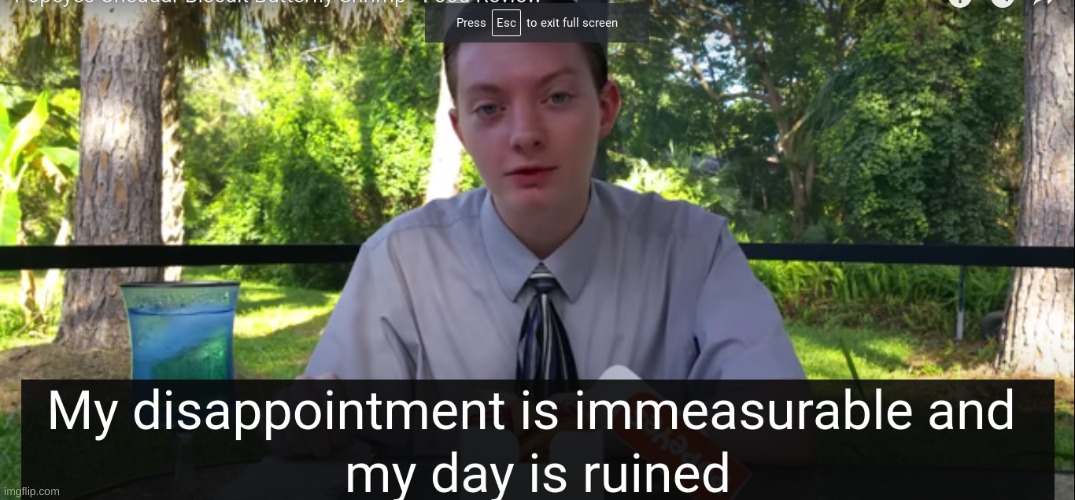 my disappointment is immeasurable and my day is ruined | image tagged in my disappointment is immeasurable and my day is ruined | made w/ Imgflip meme maker