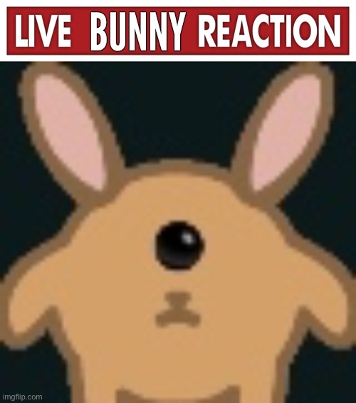 BUNNY | made w/ Imgflip meme maker