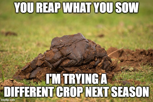 Reap what you Sow | YOU REAP WHAT YOU SOW; I'M TRYING A DIFFERENT CROP NEXT SEASON | image tagged in mental health,deep thoughts | made w/ Imgflip meme maker