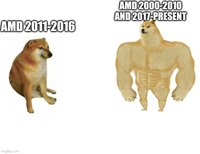 Cheems vs Buff Doge | AMD 2000-2010 AND 2017-PRESENT; AMD 2011-2016 | image tagged in cheems vs buff doge | made w/ Imgflip meme maker