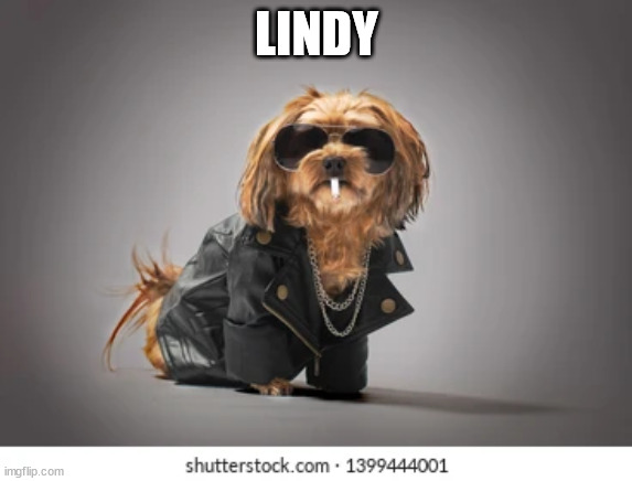 LINDY | made w/ Imgflip meme maker