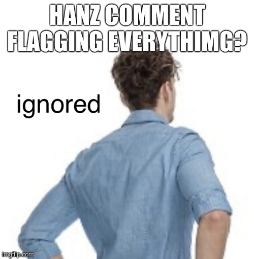 Ah yes, everythimg | HANZ COMMENT FLAGGING EVERYTHIMG? | image tagged in ignored | made w/ Imgflip meme maker