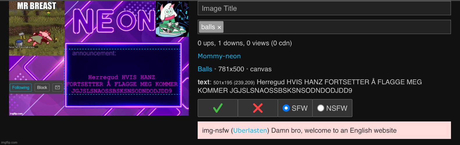 made w/ Imgflip meme maker