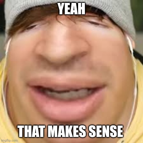 E | YEAH THAT MAKES SENSE | image tagged in e | made w/ Imgflip meme maker