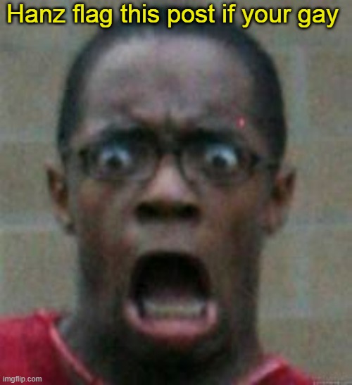 surprised | Hanz flag this post if your gay | image tagged in surprised | made w/ Imgflip meme maker