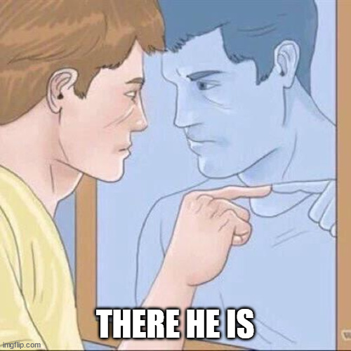 Pointing mirror guy | THERE HE IS | image tagged in pointing mirror guy | made w/ Imgflip meme maker