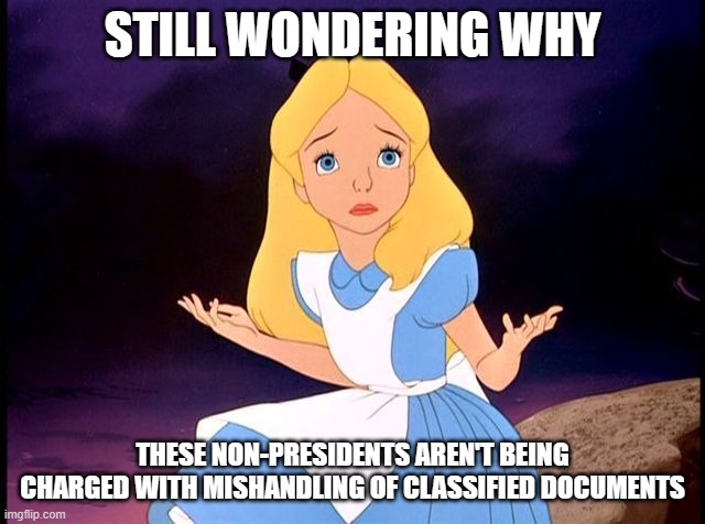 Alice in Wonderland | STILL WONDERING WHY; THESE NON-PRESIDENTS AREN'T BEING CHARGED WITH MISHANDLING OF CLASSIFIED DOCUMENTS | image tagged in alice in wonderland | made w/ Imgflip meme maker