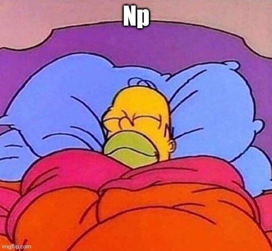 Homer Simpson sleeping peacefully | Np | image tagged in homer simpson sleeping peacefully | made w/ Imgflip meme maker