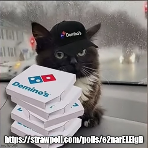 Dominos Cat | https://strawpoll.com/polls/e2narELElgB | image tagged in dominos cat | made w/ Imgflip meme maker
