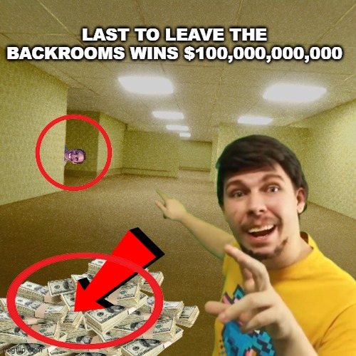 Mr beast next video be like | LAST TO LEAVE THE BACKROOMS WINS $100,000,000,000 | image tagged in memes | made w/ Imgflip meme maker