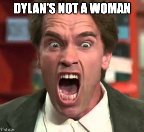 Not a woman | DYLAN'S NOT A WOMAN | image tagged in arnold yelling | made w/ Imgflip meme maker