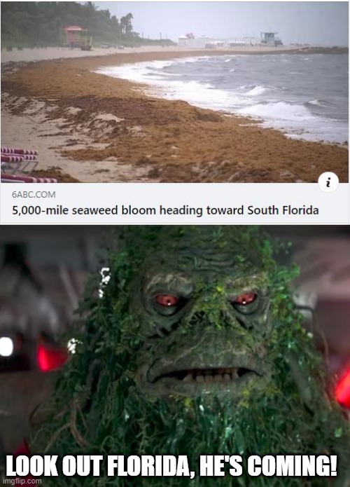 Space Seaweed | LOOK OUT FLORIDA, HE'S COMING! | image tagged in the mandalorian | made w/ Imgflip meme maker