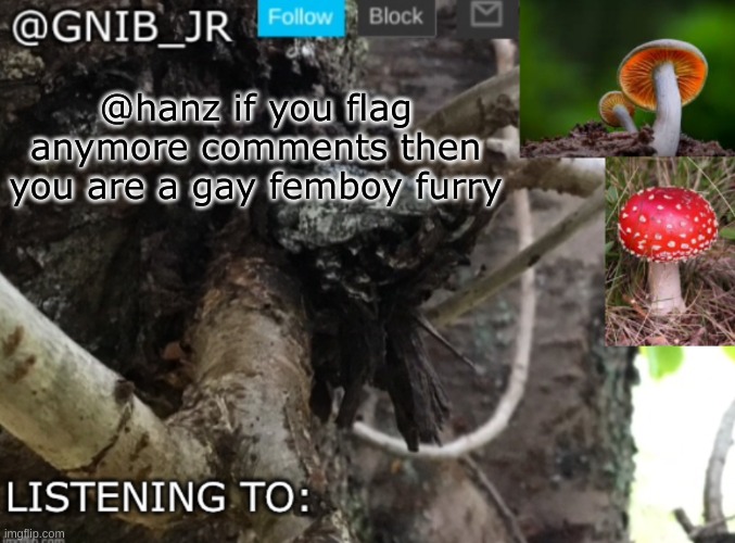 real [storm note: it seems that Hanz does not care] | @hanz if you flag anymore comments then you are a gay femboy furry | image tagged in gnib_jr's new temp | made w/ Imgflip meme maker