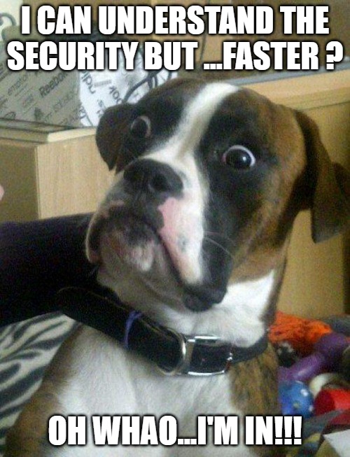 Blankie the Shocked Dog | I CAN UNDERSTAND THE SECURITY BUT ...FASTER ? OH WHAO...I'M IN!!! | image tagged in blankie the shocked dog | made w/ Imgflip meme maker