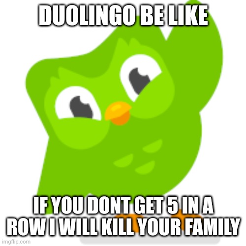 Duolingo memes | DUOLINGO BE LIKE; IF YOU DONT GET 5 IN A ROW I WILL KILL YOUR FAMILY | image tagged in duolingo memes | made w/ Imgflip meme maker