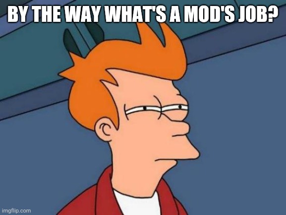 ?????????? | BY THE WAY WHAT'S A MOD'S JOB? | image tagged in memes,futurama fry | made w/ Imgflip meme maker