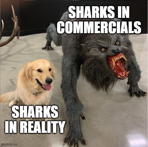 dog vs werewolf |  SHARKS IN COMMERCIALS; SHARKS IN REALITY | image tagged in dog vs werewolf,sharks,commercials,reality,angry | made w/ Imgflip meme maker