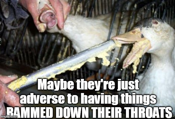 Maybe they're just adverse to having things
 RAMMED DOWN THEIR THROATS | made w/ Imgflip meme maker