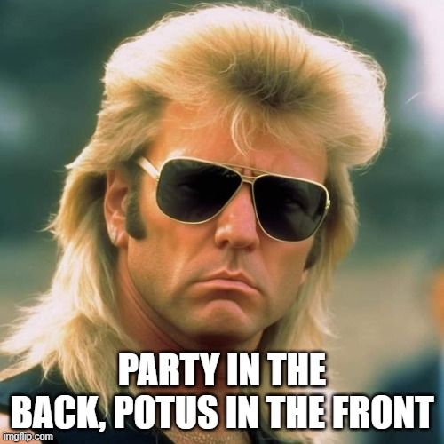 POTUS | PARTY IN THE BACK, POTUS IN THE FRONT | image tagged in potus,potus45,mullet,party,funny memes | made w/ Imgflip meme maker