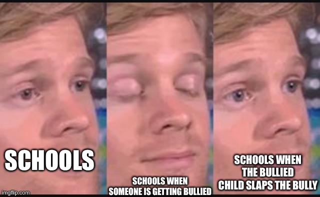 Nah schools dont wanna catch bully | SCHOOLS; SCHOOLS WHEN SOMEONE IS GETTING BULLIED; SCHOOLS WHEN THE BULLIED CHILD SLAPS THE BULLY | image tagged in blinking guy | made w/ Imgflip meme maker