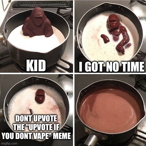 Pls dont | KID; I GOT NO TIME; DONT UPVOTE THE "UPVOTE IF YOU DONT VAPE" MEME | image tagged in chocolate gorilla | made w/ Imgflip meme maker