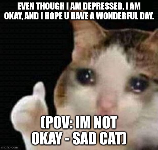 sad thumbs up cat | EVEN THOUGH I AM DEPRESSED, I AM OKAY, AND I HOPE U HAVE A WONDERFUL DAY. (POV: IM NOT OKAY - SAD CAT) | image tagged in sad thumbs up cat | made w/ Imgflip meme maker