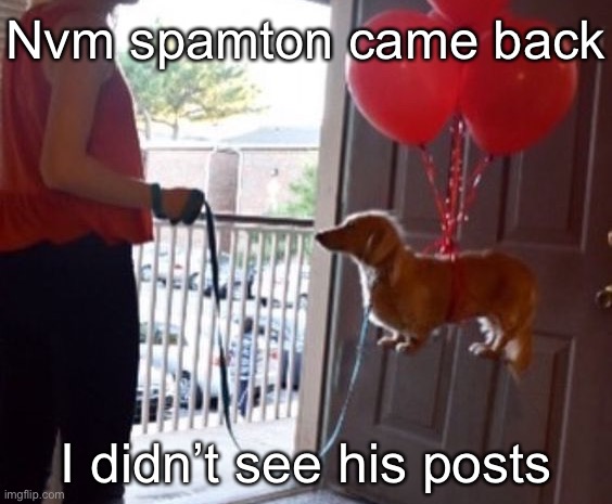 walkin me dog fr | Nvm spamton came back; I didn’t see his posts | image tagged in walkin me dog fr | made w/ Imgflip meme maker