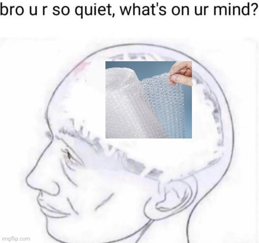 Bubble wrap | image tagged in bro you're so quiet,bubble wrap,bubble wraps,memes,meme,popping | made w/ Imgflip meme maker