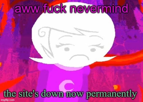 oh well | aww fuck nevermind; the site's down now permanently | image tagged in roxy lalonde disappointed | made w/ Imgflip meme maker