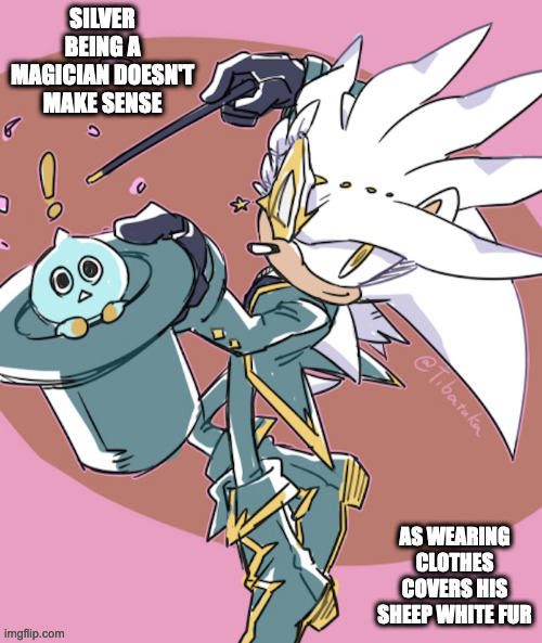 Silver as a Magician | image tagged in silver the hedgehog,sonic the hedgehog,memes,repost | made w/ Imgflip meme maker