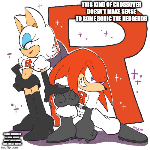 Knuckles the Echidna and Rogue the Bat Cosplaying as Team Rocket Grunts | image tagged in rogue the bat,knuckles the echidna,pokemon,team rocket,memes,repost | made w/ Imgflip meme maker