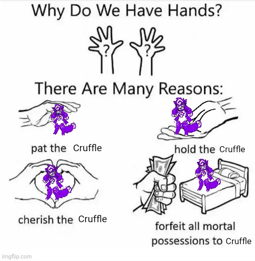 Cruffle is cute rn | Cruffle; Cruffle; Cruffle; Cruffle | image tagged in why do we have hands all blank,kittydog,kittydogcrystal,cruffle | made w/ Imgflip meme maker