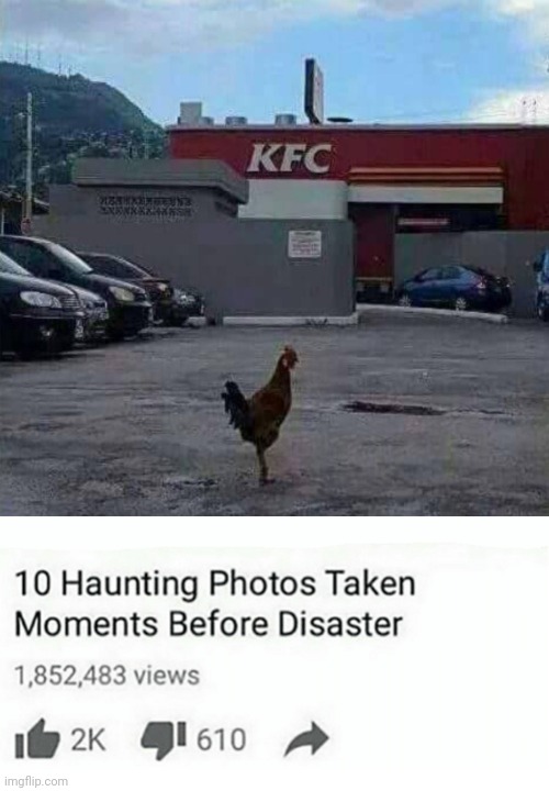 Chicken at KFC | image tagged in ten haunting photos taken moments before disaster,chicken,kfc,chickens,memes,meme | made w/ Imgflip meme maker