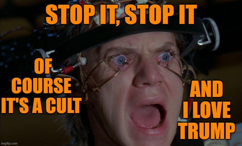 The Cult | STOP IT, STOP IT; AND I LOVE TRUMP; OF COURSE IT'S A CULT | image tagged in donald trump,cult,brainwashed,help,nope | made w/ Imgflip meme maker