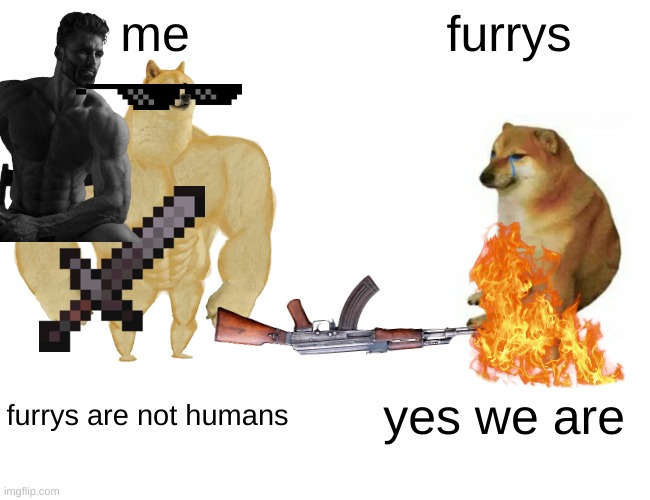 Buff Doge vs. Cheems | me; furrys; furrys are not humans; yes we are | image tagged in memes,buff doge vs cheems | made w/ Imgflip meme maker