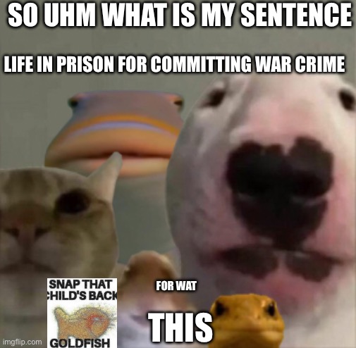 The council | SO UHM WHAT IS MY SENTENCE; LIFE IN PRISON FOR COMMITTING WAR CRIME; FOR WAT; THIS | image tagged in the council | made w/ Imgflip meme maker