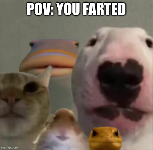 The council | POV: YOU FARTED | image tagged in the council | made w/ Imgflip meme maker