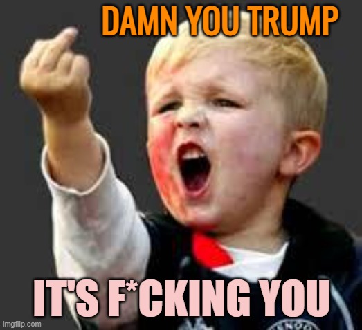 Baby Pointing Middle Finger | DAMN YOU TRUMP IT'S F*CKING YOU | image tagged in baby pointing middle finger | made w/ Imgflip meme maker