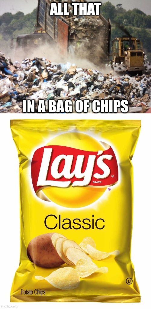 ALL THAT; IN A BAG OF CHIPS | image tagged in memes,funny,eyeroll | made w/ Imgflip meme maker