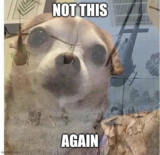 PTSD Chihuahua | NOT THIS AGAIN | image tagged in ptsd chihuahua | made w/ Imgflip meme maker