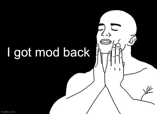 Thanks del! Now i can not moderate the stream while yall cant due to timezones- | I got mod back | image tagged in smooth face | made w/ Imgflip meme maker