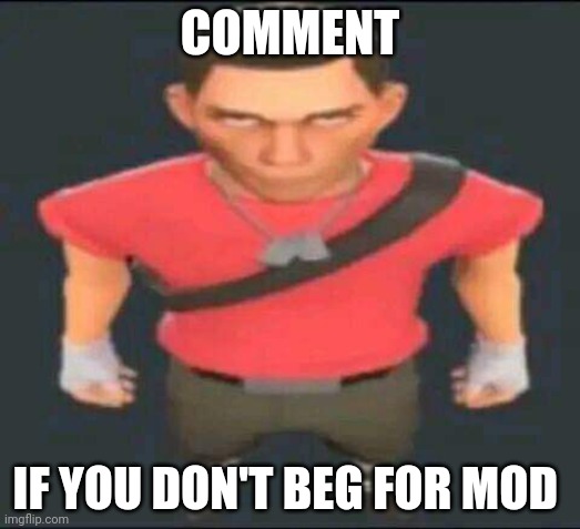 I'm not upvote begging I'm saying stuff | COMMENT; IF YOU DON'T BEG FOR MOD | image tagged in bro | made w/ Imgflip meme maker