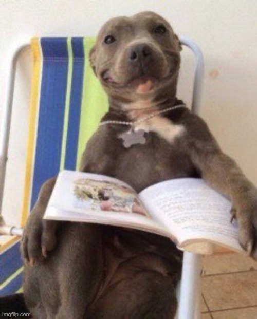 pitbulls waiting for a child: | made w/ Imgflip meme maker