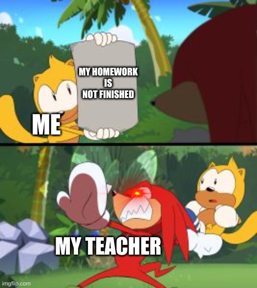 bruh | MY HOMEWORK IS NOT FINISHED; ME; MY TEACHER | image tagged in knuckles outraged | made w/ Imgflip meme maker